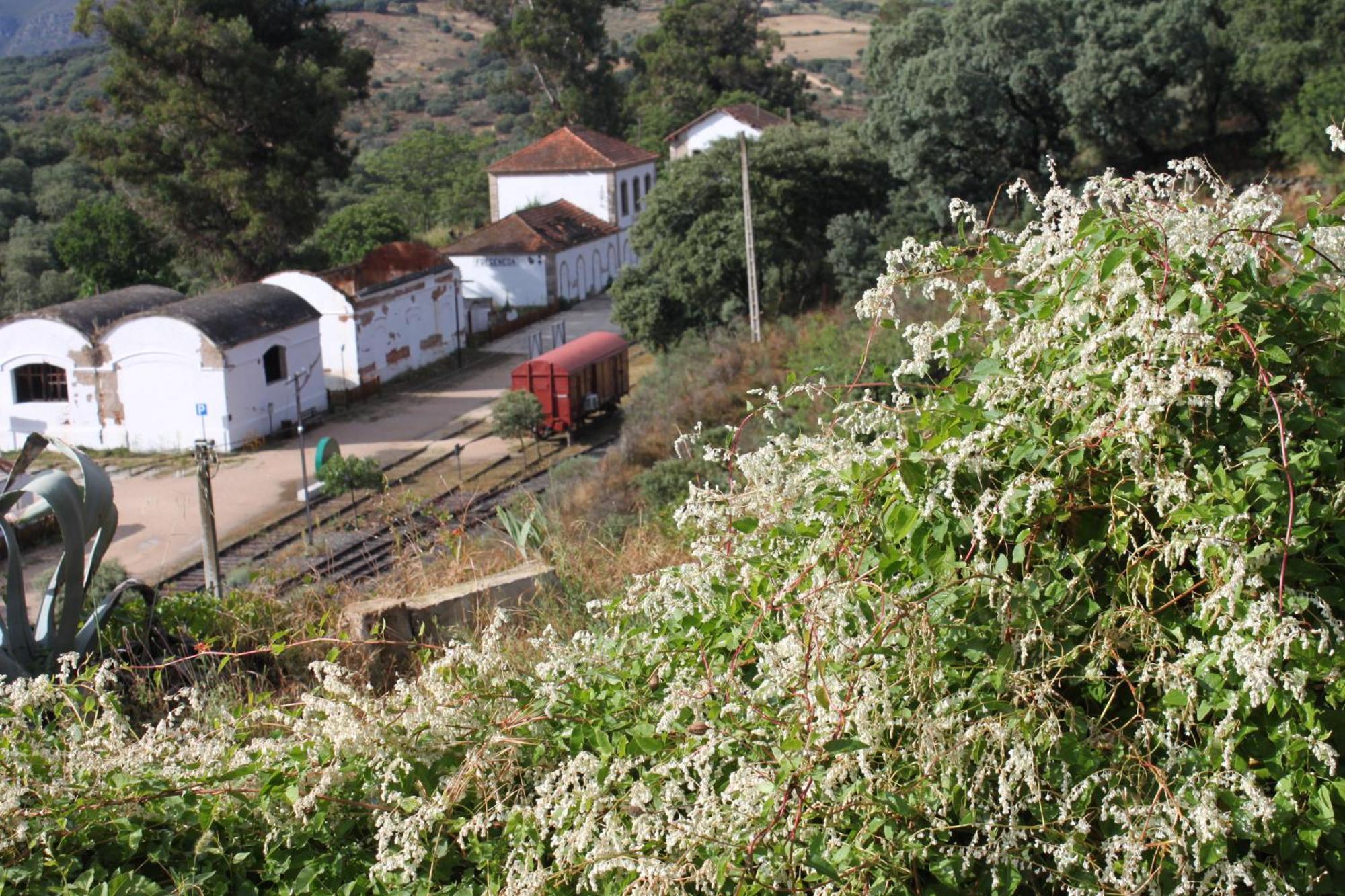 Casa Rural Camino De Hierro I Y II La Fregeneda Exterior photo